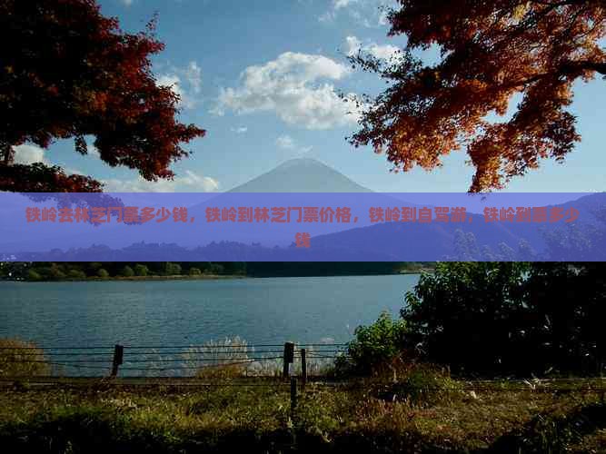 铁岭去西藏林芝门票