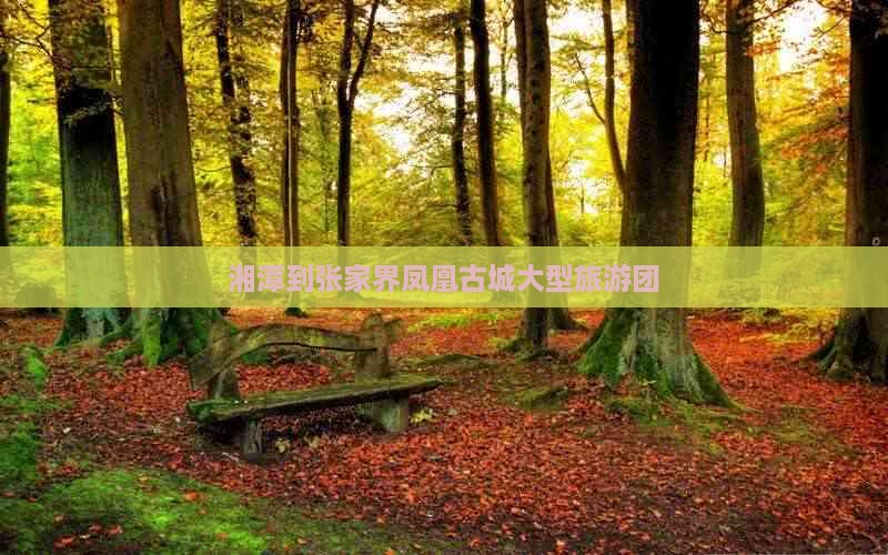 湘潭到张家界凤凰古城大型旅游团 湘潭到张家界凤凰古城大型旅游团