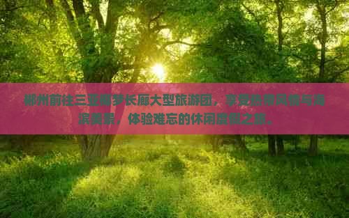 郴州前往三亚椰梦长廊大型旅游团 郴州前往三亚椰梦长廊大型旅游团